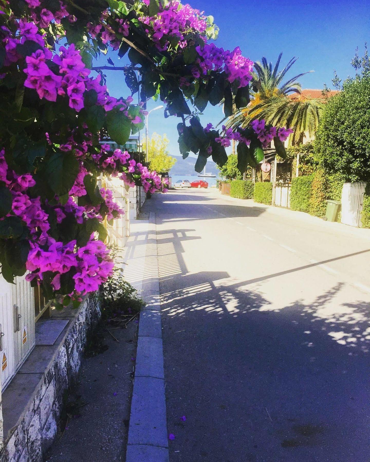 Hotel Splendido Bay Tivat Luaran gambar